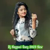 Dj Nagpuri Song 2023 New